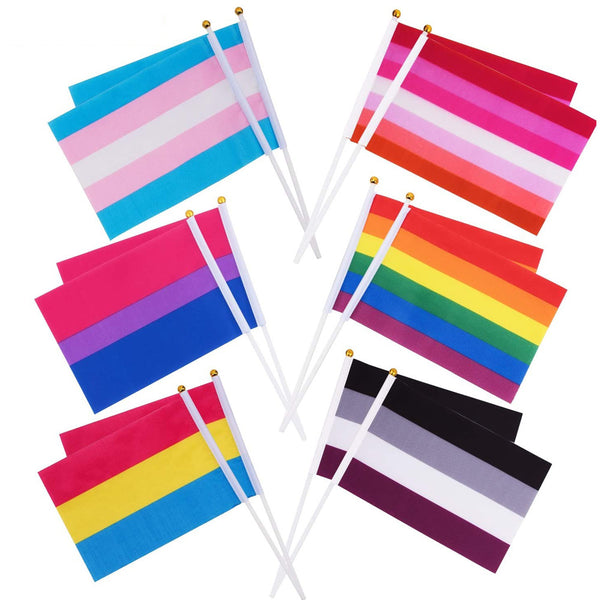 Hand Held Stick Progress Pride Flag